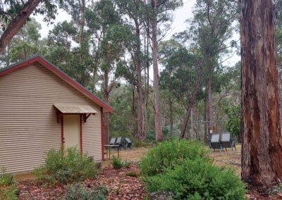 Kitchen and surrounds