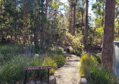 Path to accommodation